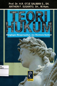 Image of Teori Hukum